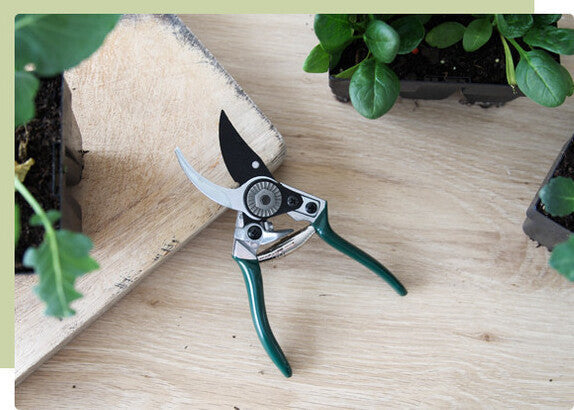 Five essential garden tools laid out on a wooden surface