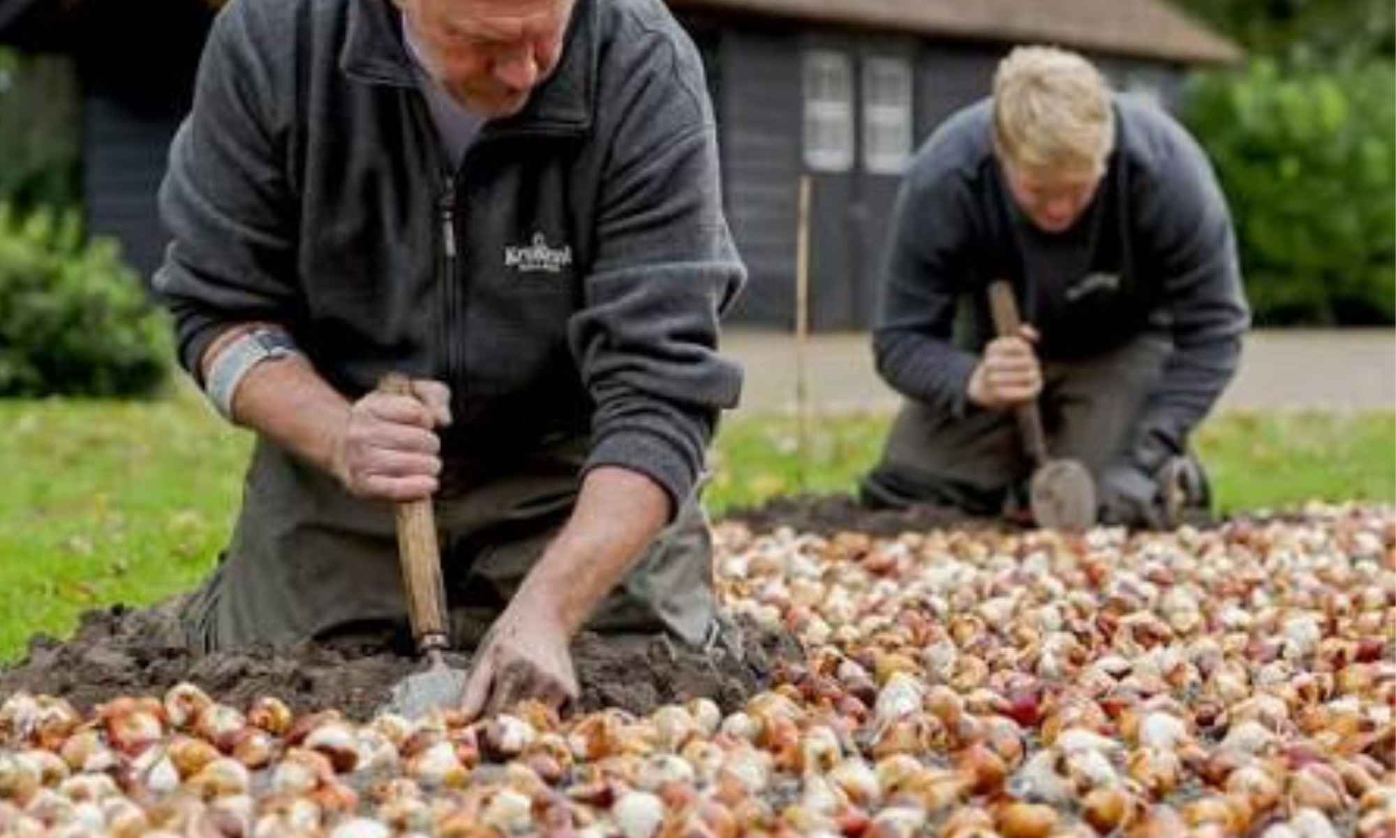 The Essential Planting Tools Guide