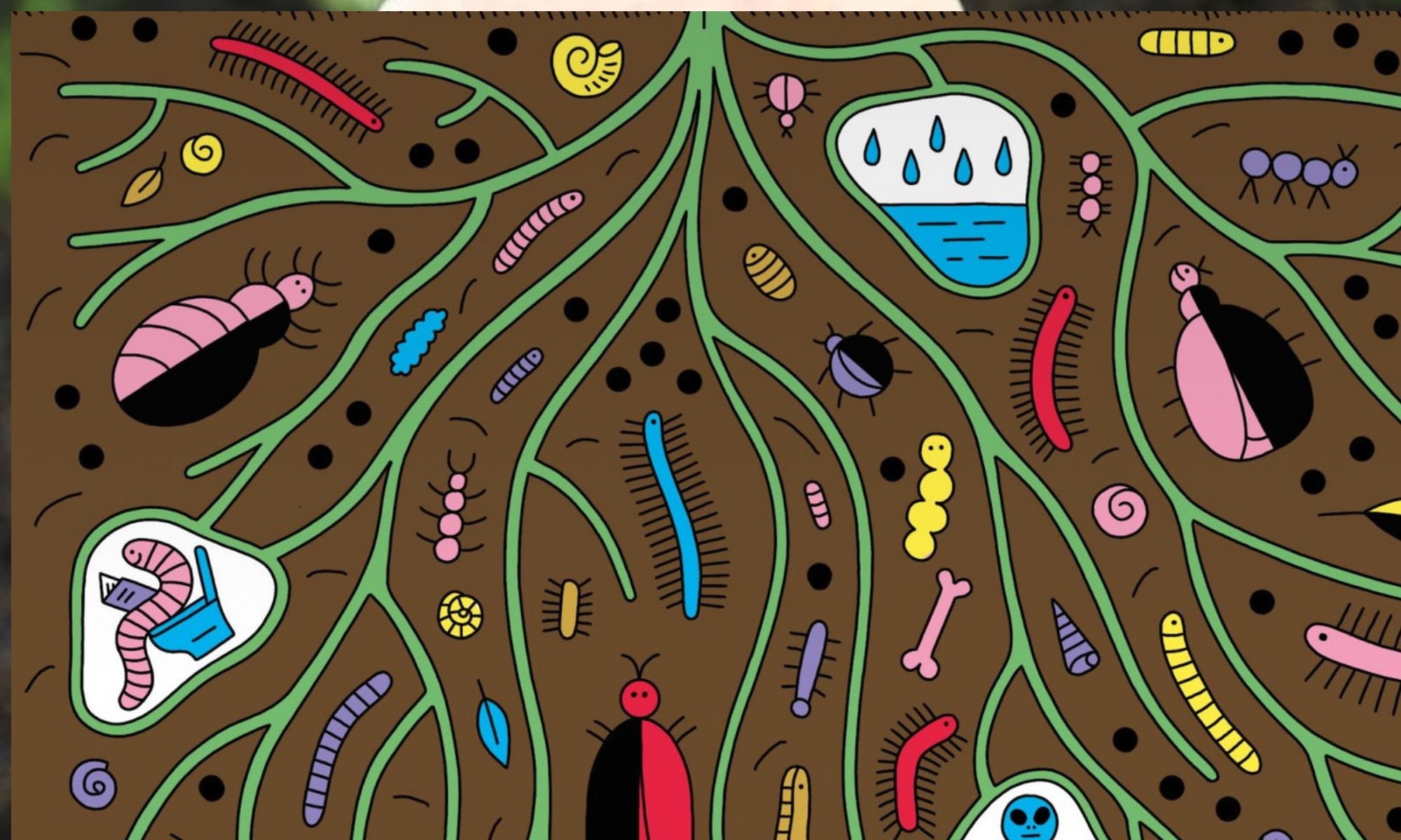 Effective Microorganisms in the Garden — What Is EM and How to Use It