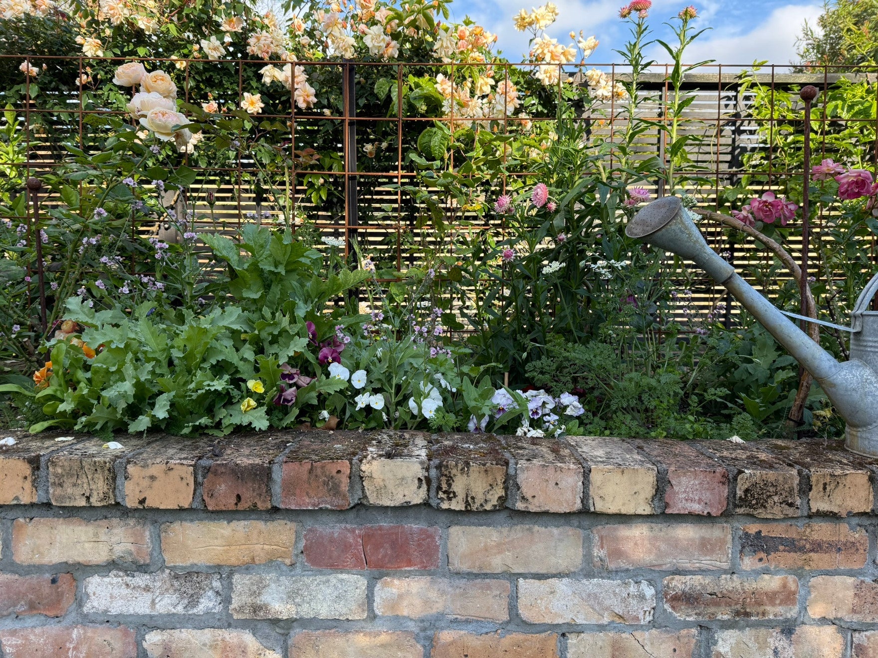 A Cutting Flower Garden