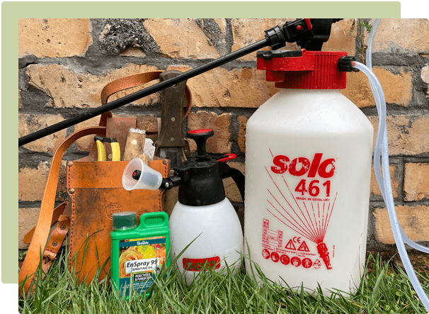 A guide to winter clean up sprays in the garden