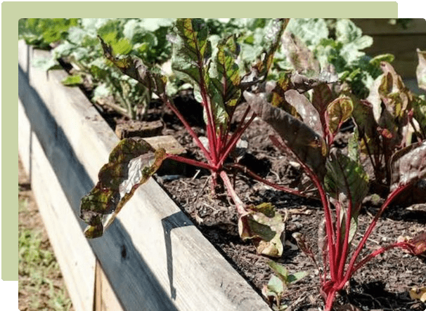 April Garden Guide