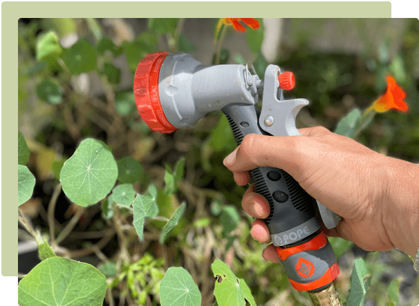 Being waterwise in your garden