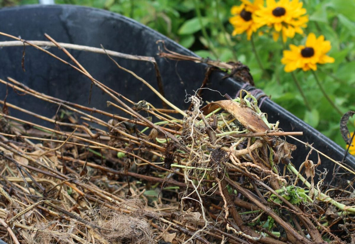 How to compost | A practical guide to hot & cold composting methods