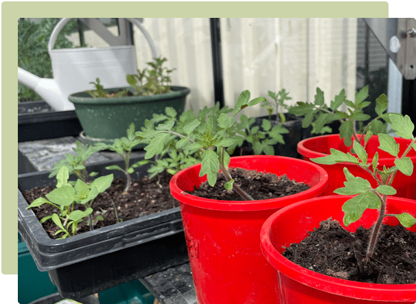 October Garden Guide
