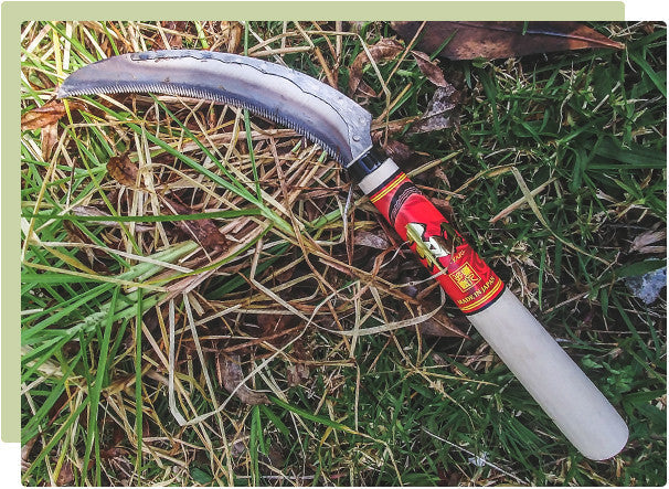 The Maruyoshi Flax Cutter - swiftly deals with fibrous plants!
