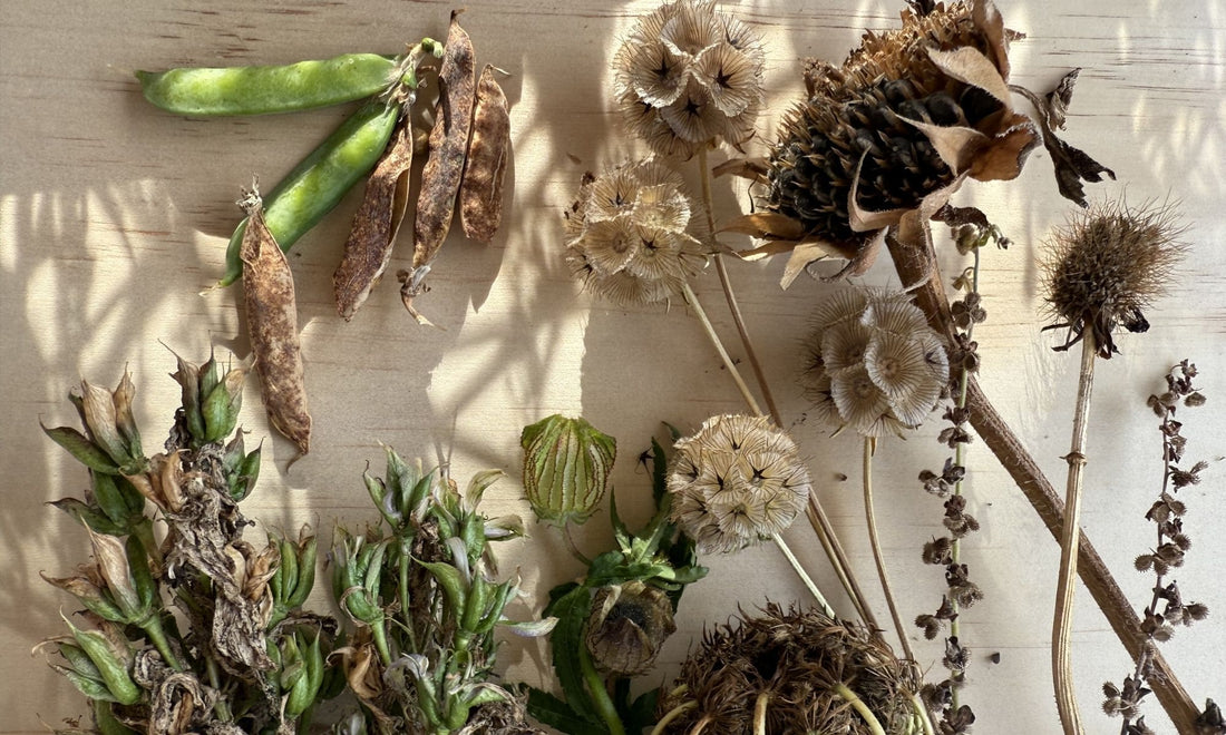 The Bugg Autumn Garden Guide