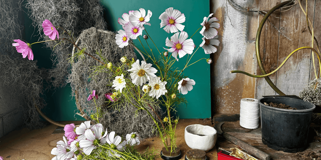 How to Start a Cut Flower Patch in NZ: Four Easy Flowers for Your First Vase