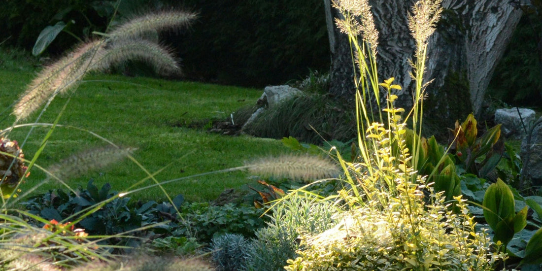 The Sunday Garden: what it is and how to transform your garden into one.