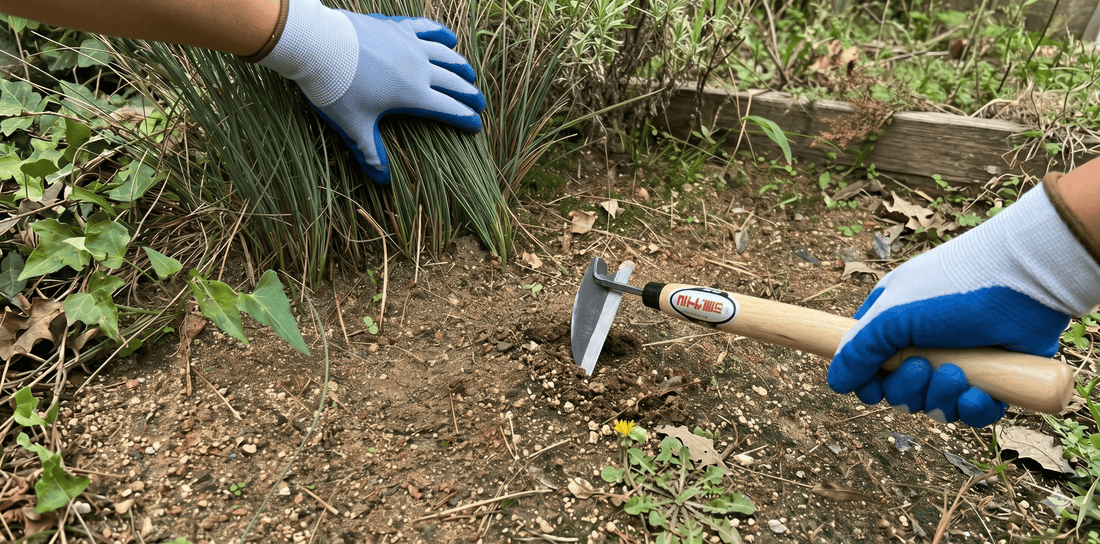 The Humble Hoe: Japanese Steel and Martha's Favourite Tool