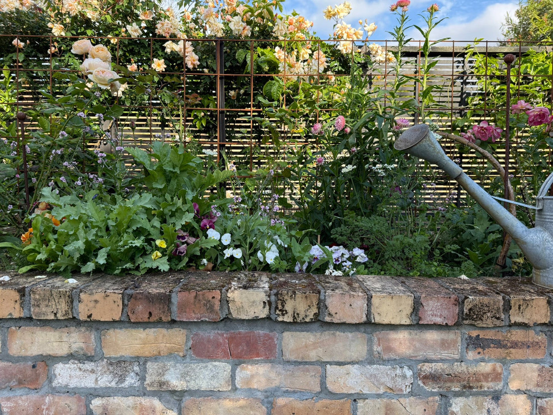 A Cutting Flower Garden