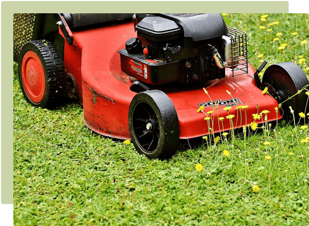 Caring for your lawn