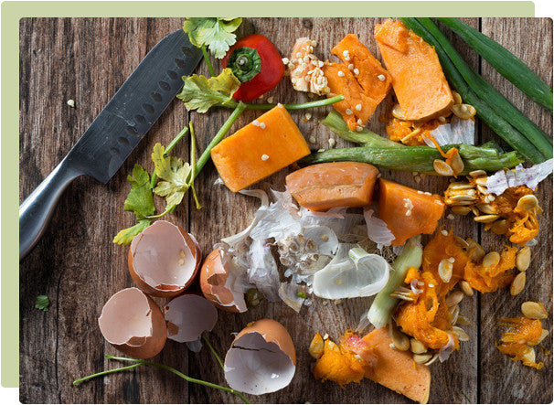 Composting - Why should we do it?
