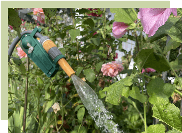 February Garden Guide