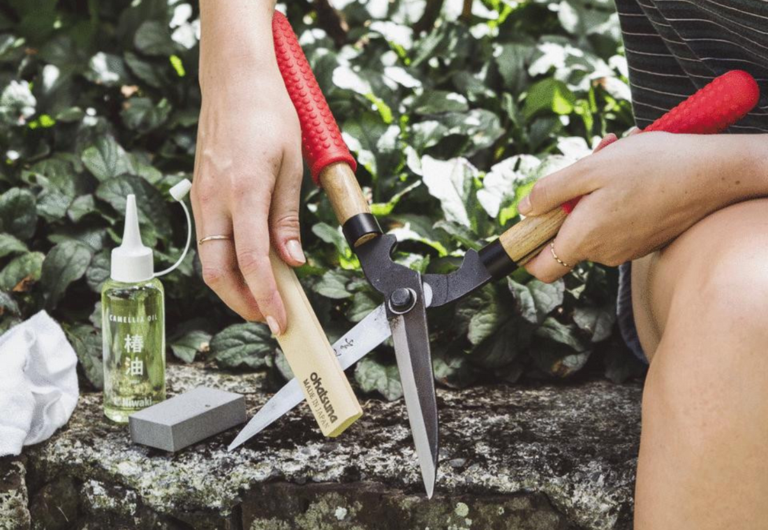 How to take care of my gardening tools?