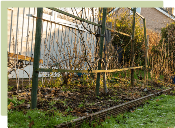 Improve your soil & prepare the vegetable garden for spring