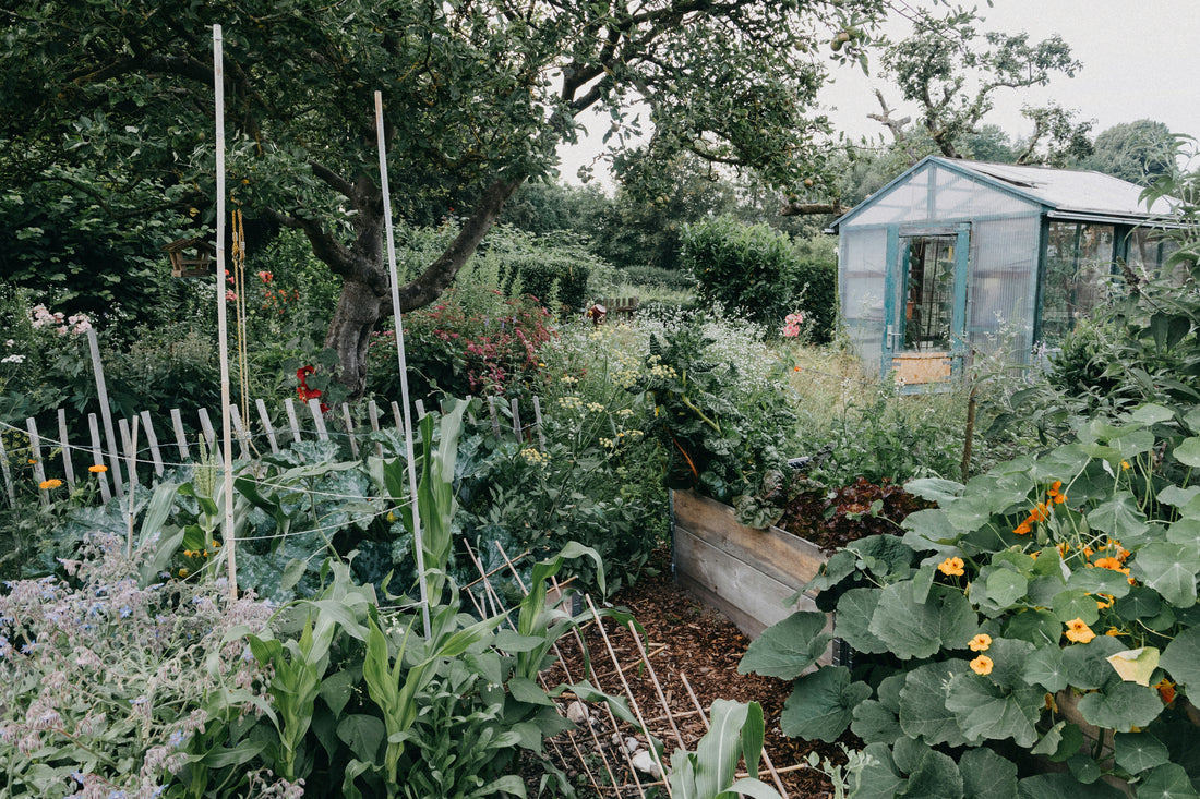 What's Your Gardening Style? | A Bugg Quiz