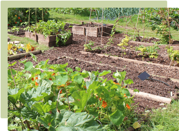 September Garden Guide