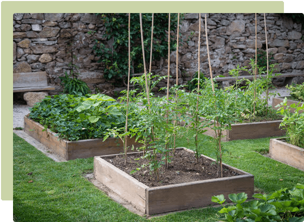 What is crop rotation and why should we do it?