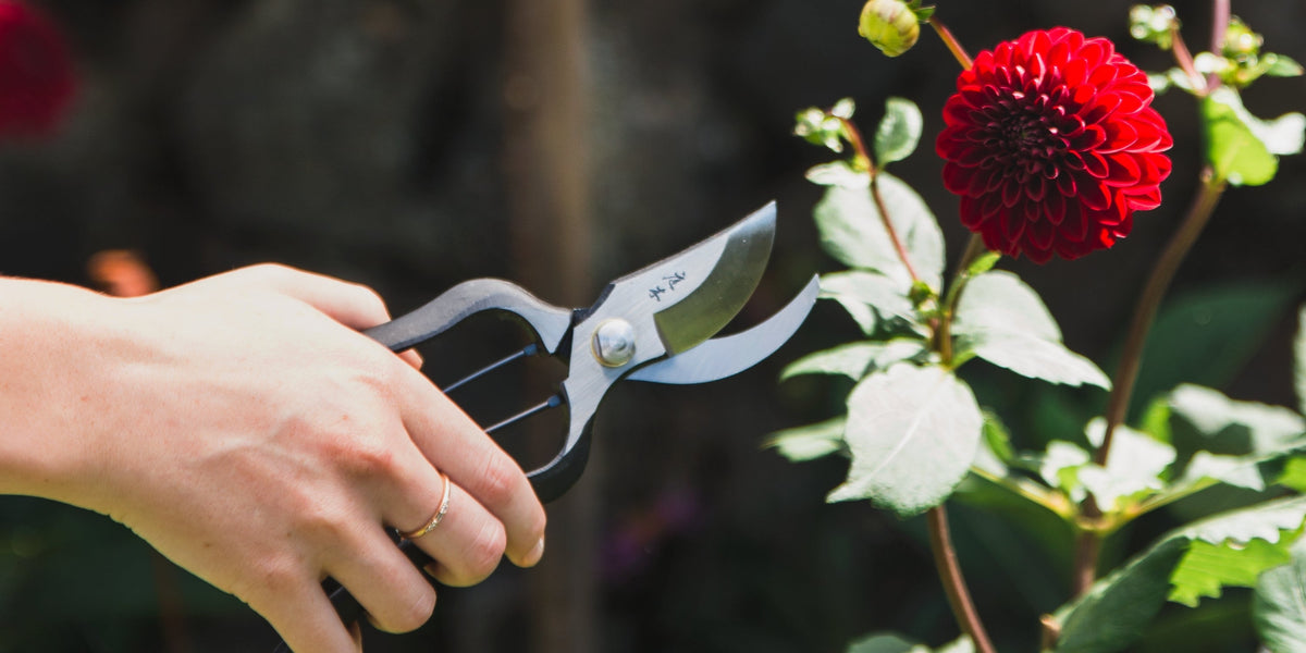 Secateurs & Pruning Shears