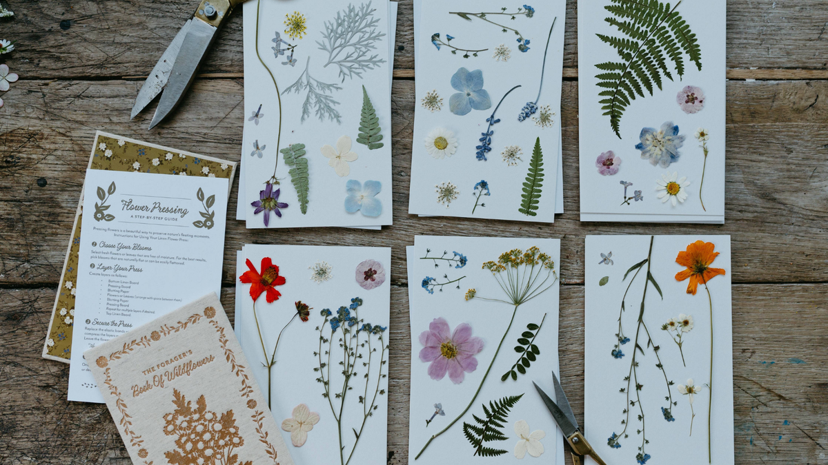 Books & Stationery