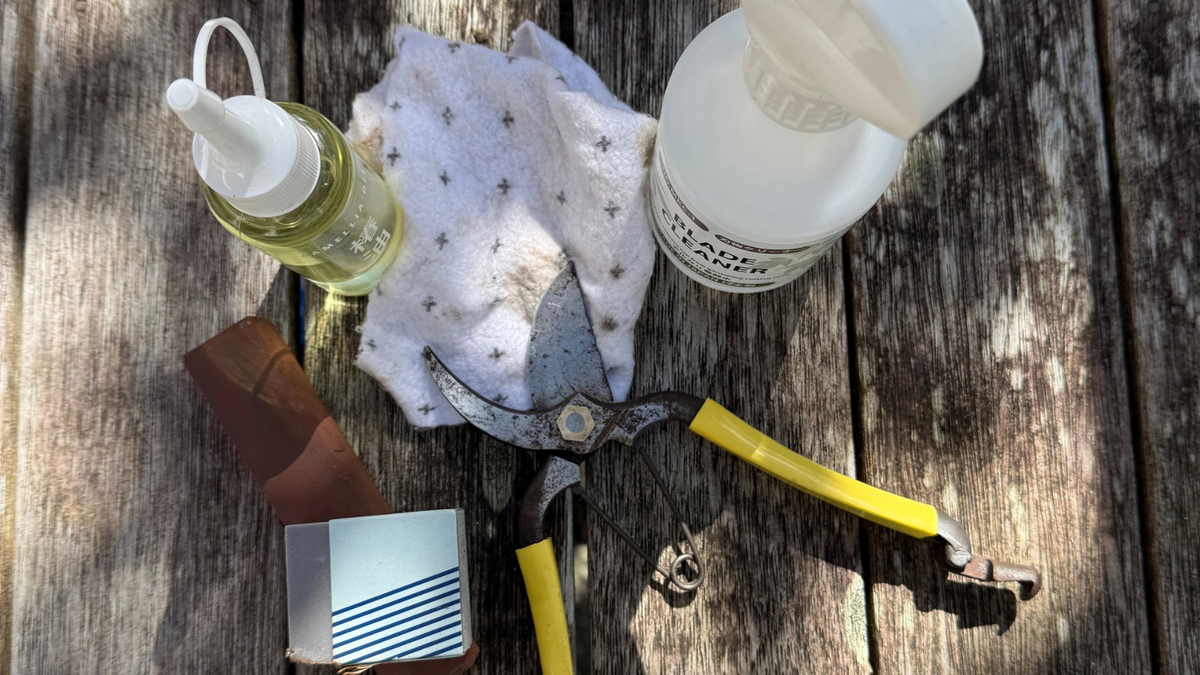 Care & Maintenance