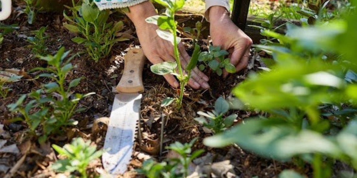 Trowels & Planting Tools