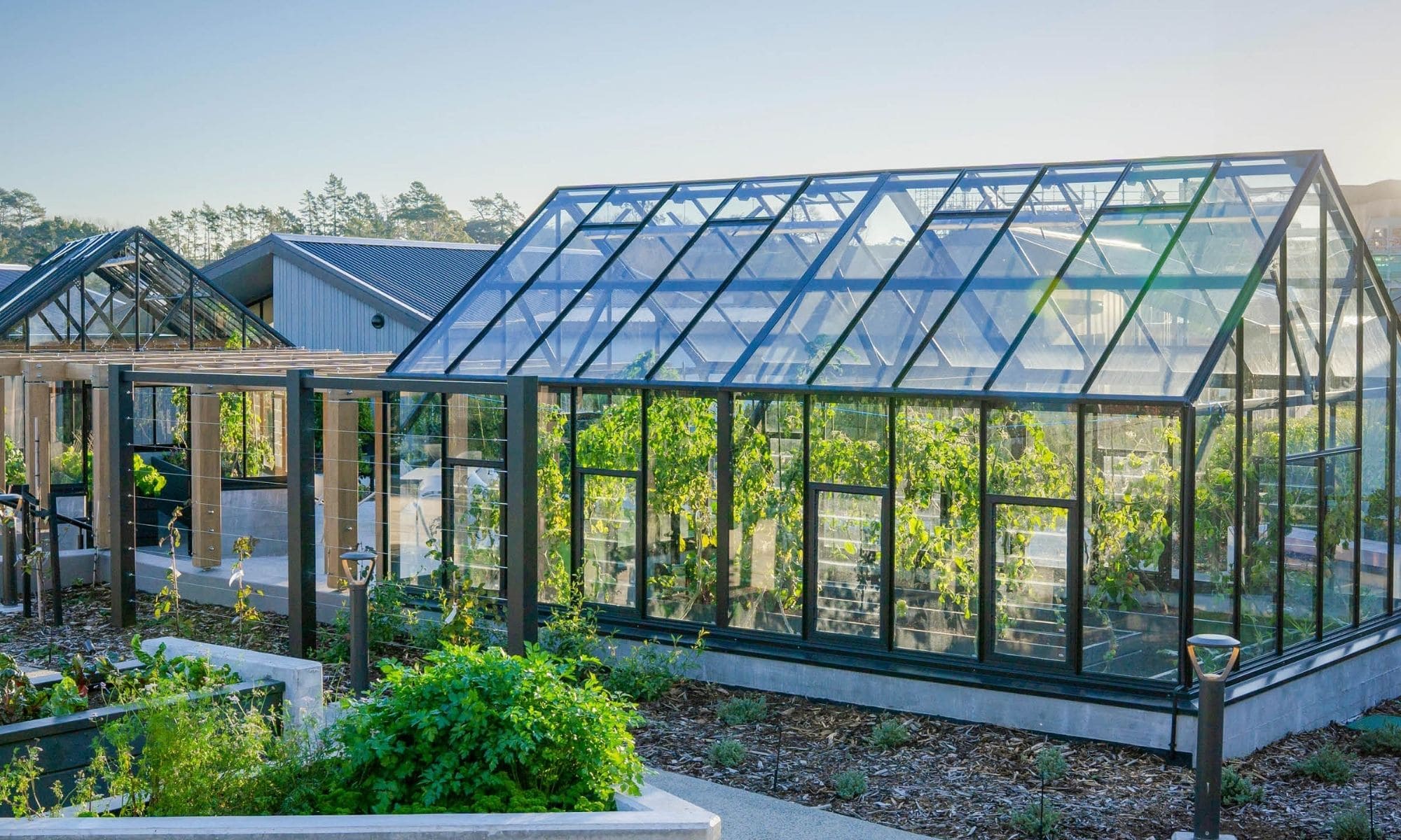 Greenhouses & Glasshouses