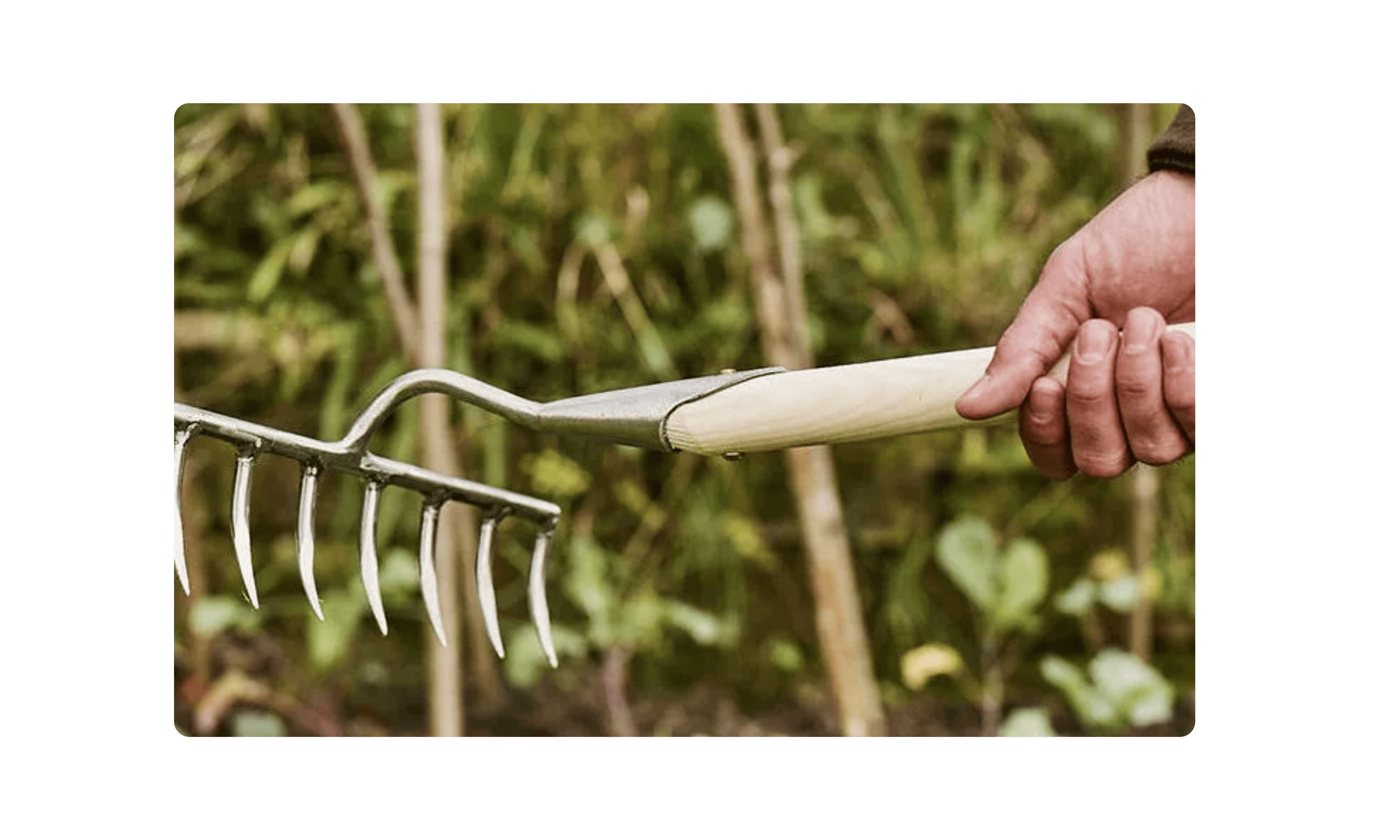 Rakes, Brushes & Brooms