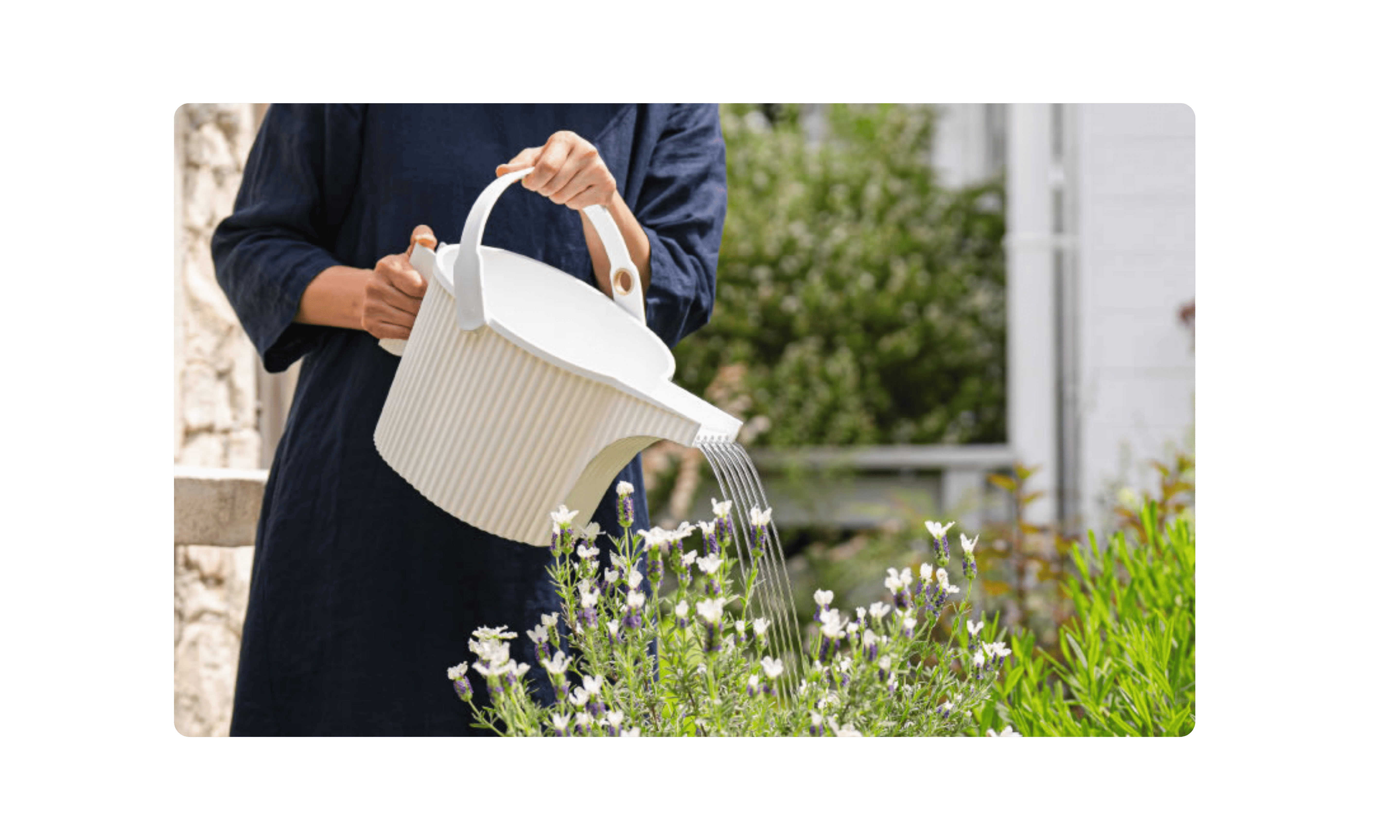 Watering