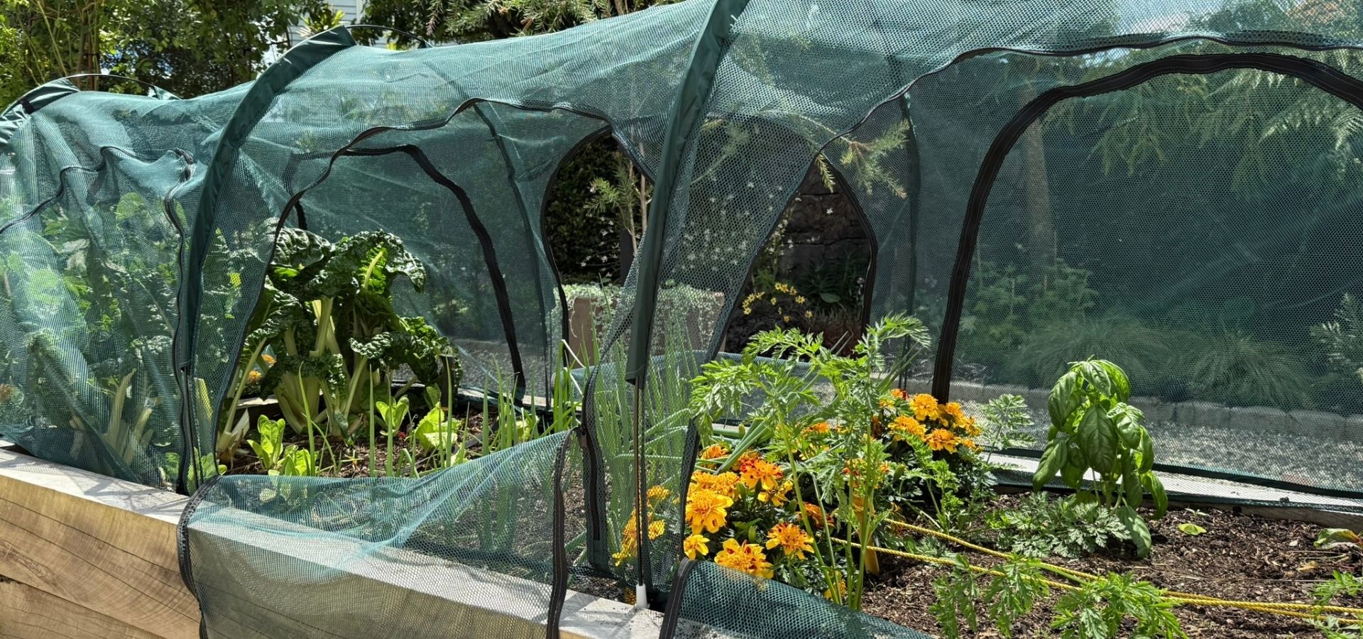 Net Tunnels & Cloches
