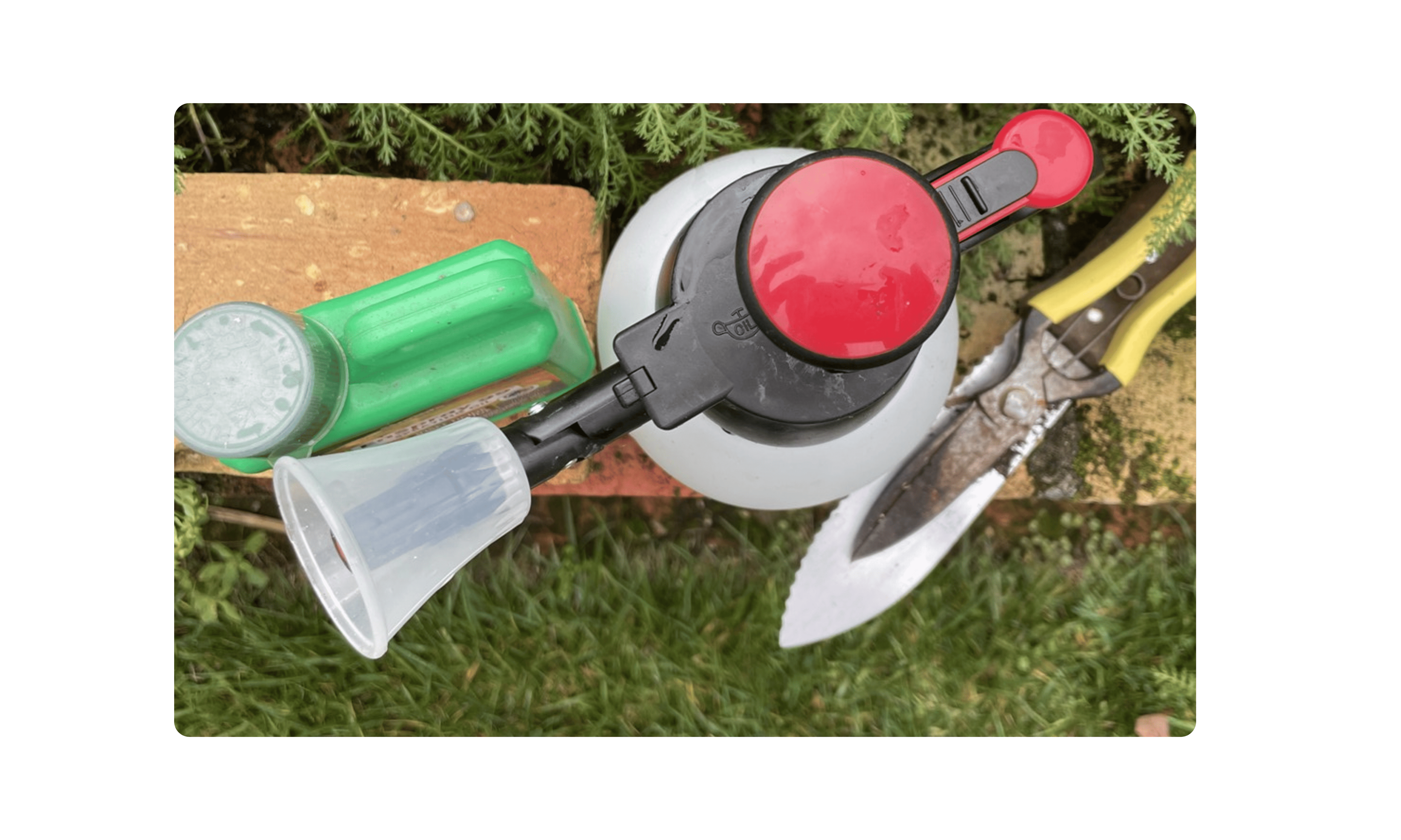 Plant & Soil Care