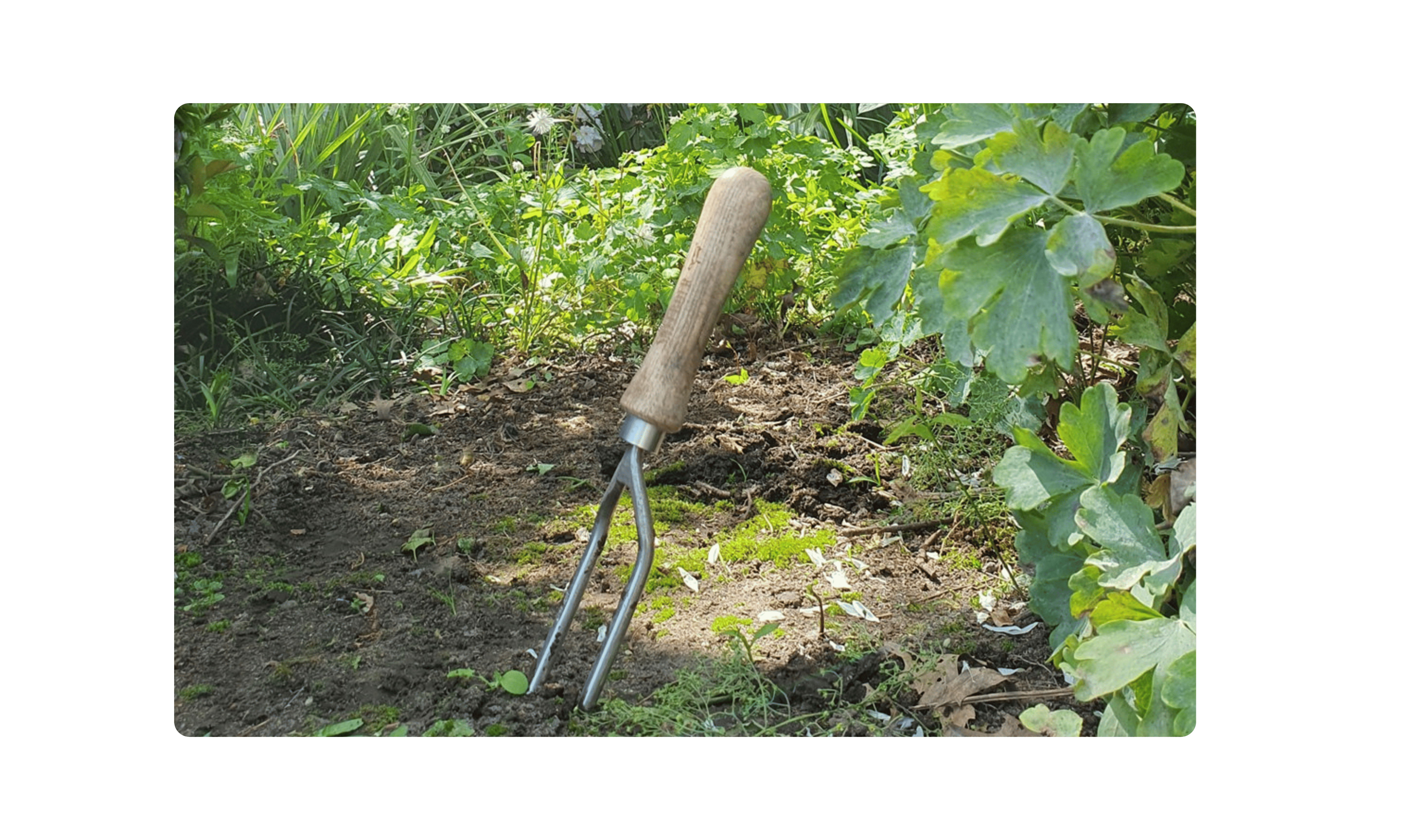 Digging & Weeding
