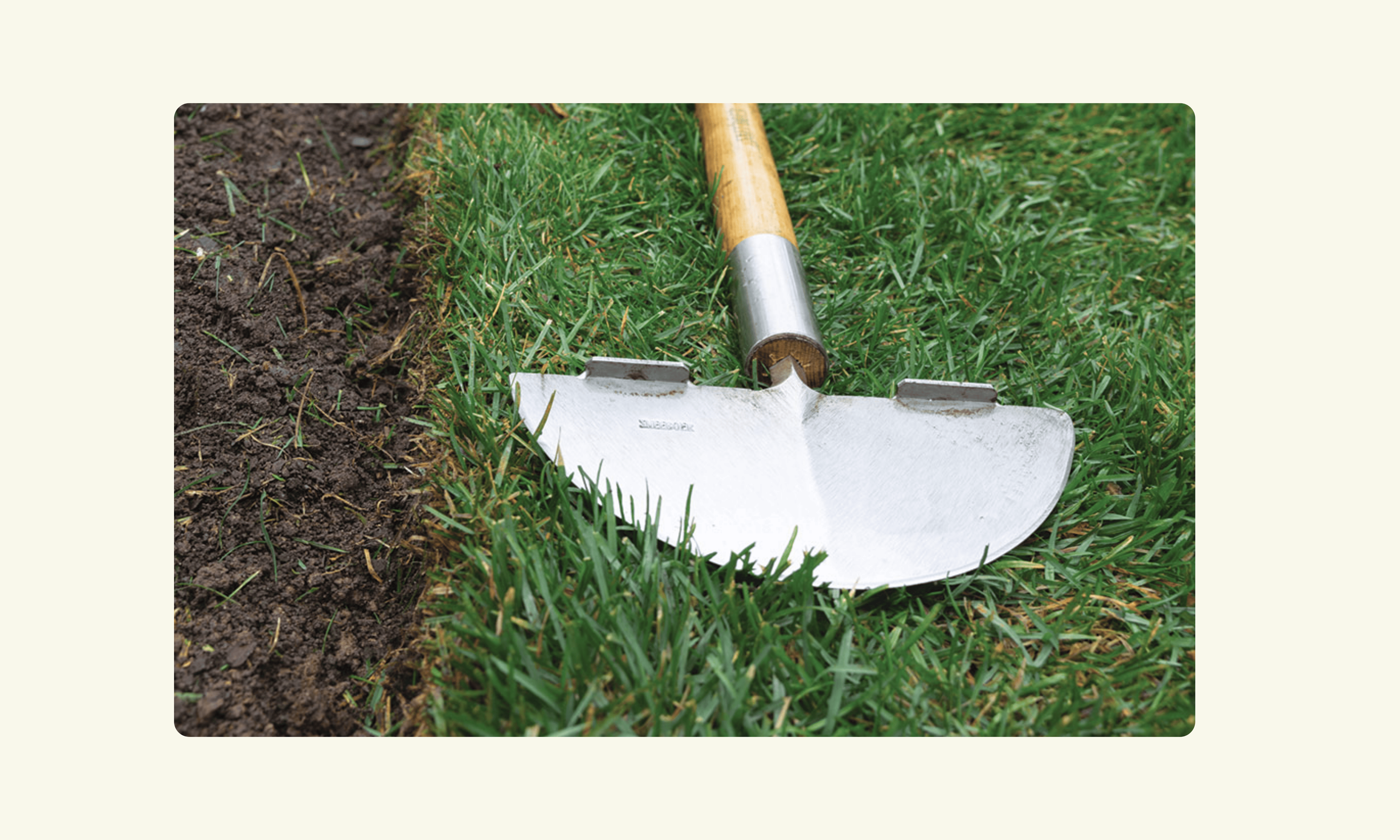 Lawn & Order