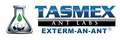 Tasmex