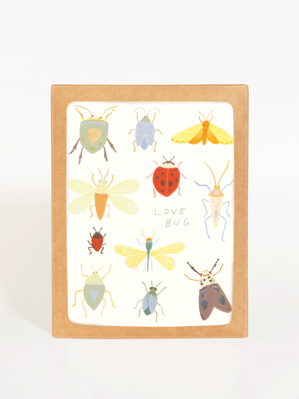 Love Bugg Boxed Cards, set of 8 illustrated insect greeting cards in a kraft box