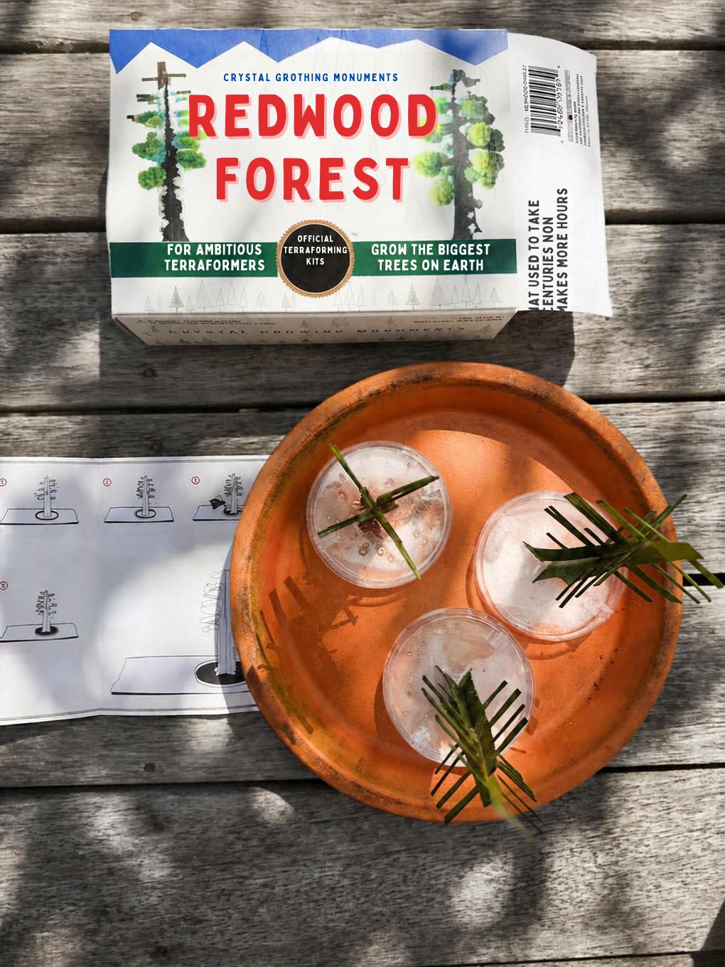 Crystal Growing Redwood Forest | Craft Kit Science Kit