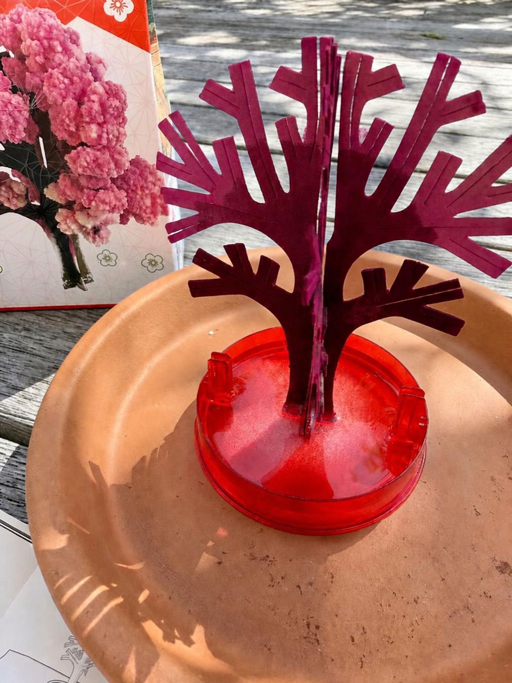 Crystal Growing Cherry Tree | Craft Kit Science Kit