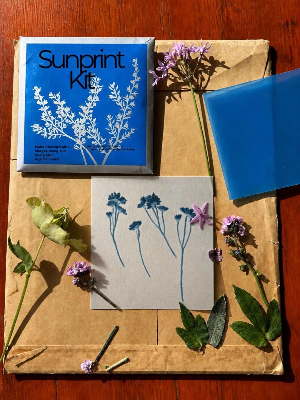 Sunprint Kit