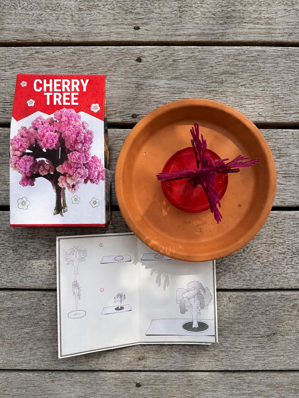 Crystal Growing Cherry Tree | Craft Kit Science Kit
