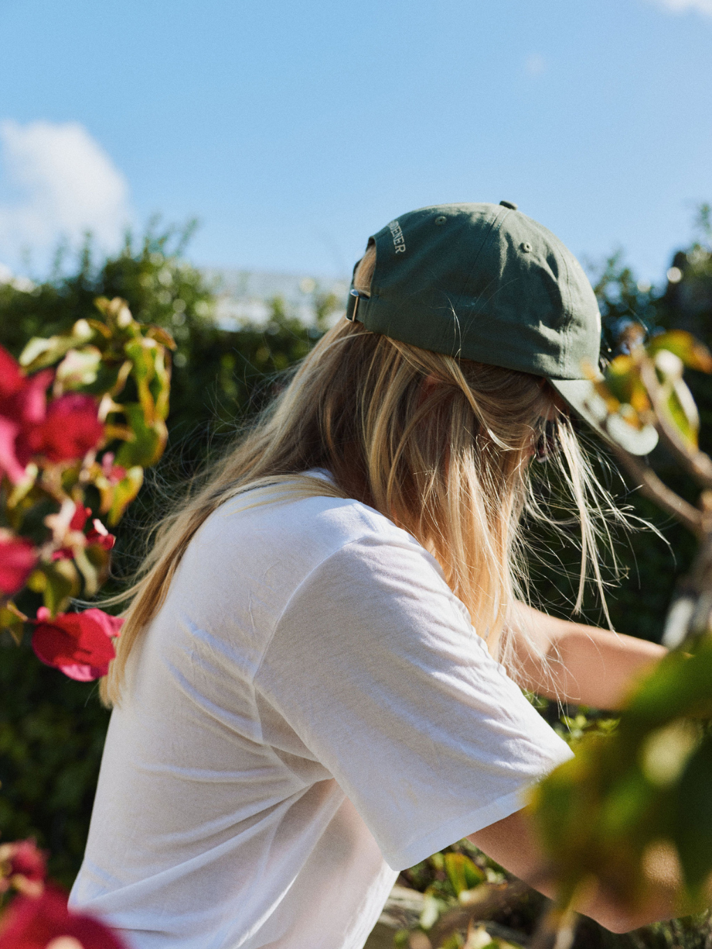 Photosynthesis Cap