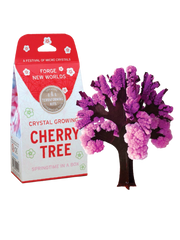 Crystal Growing Cherry Tree | Craft Kit Science Kit