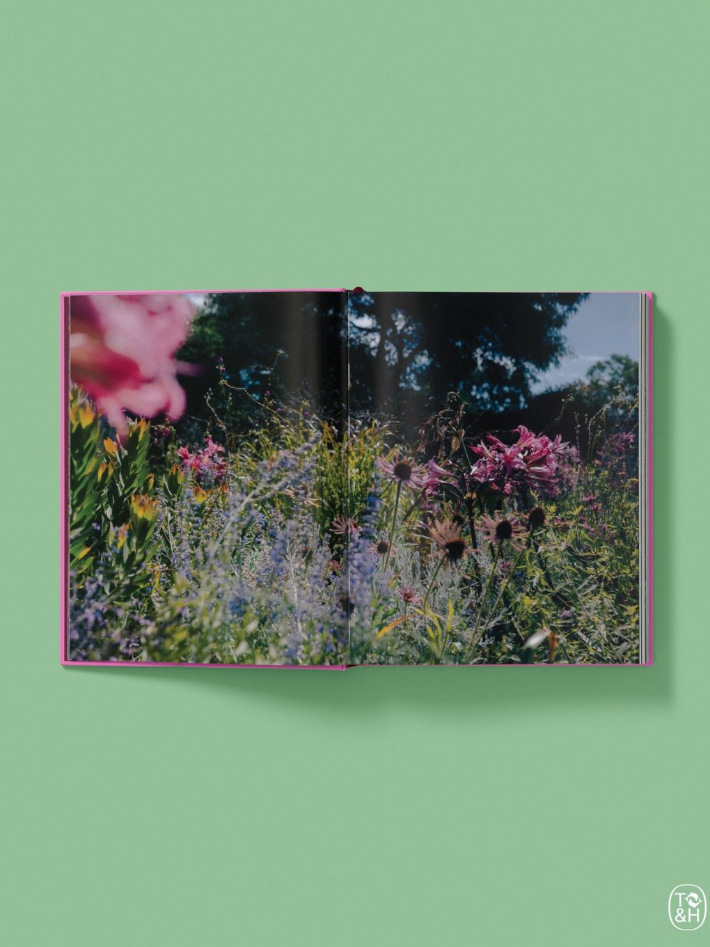 Flower Power - Jac Semmler