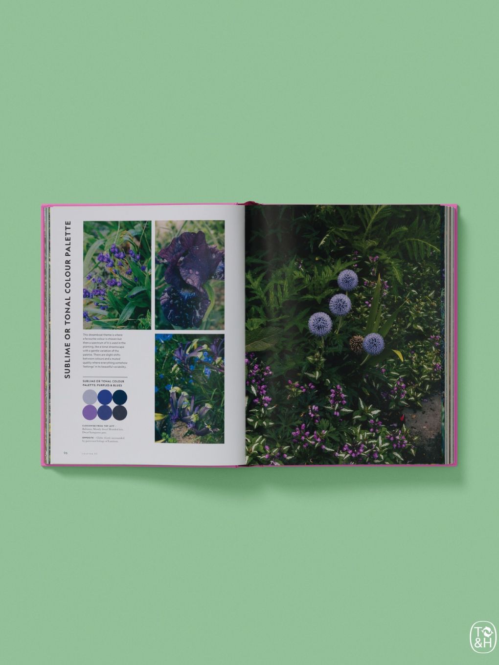 Flower Power - Jac Semmler