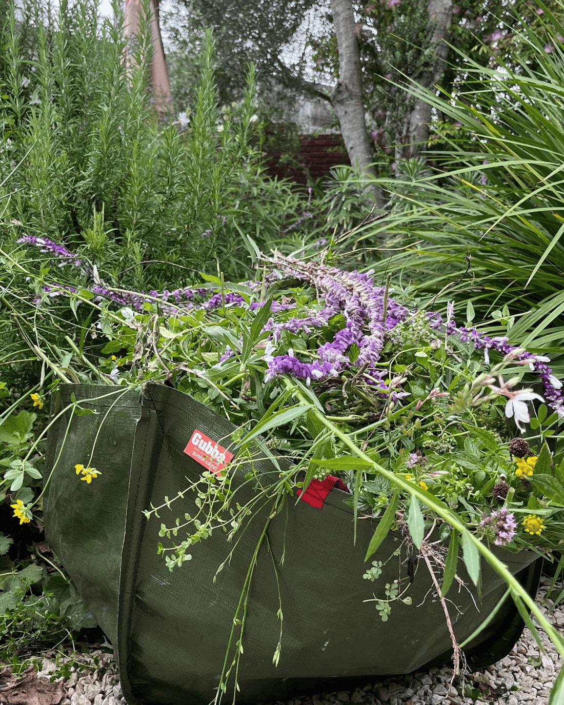groventive garden spray GroVentive Garden