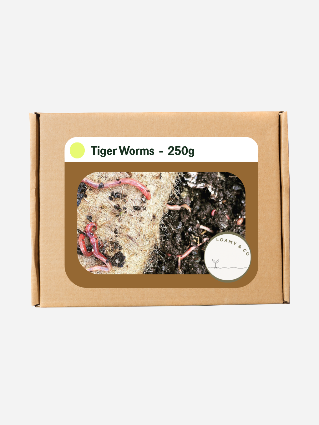 250g of Loamy & Co Tiger Worms for composting, showing healthy, dark worms ideal for organic waste breakdown.