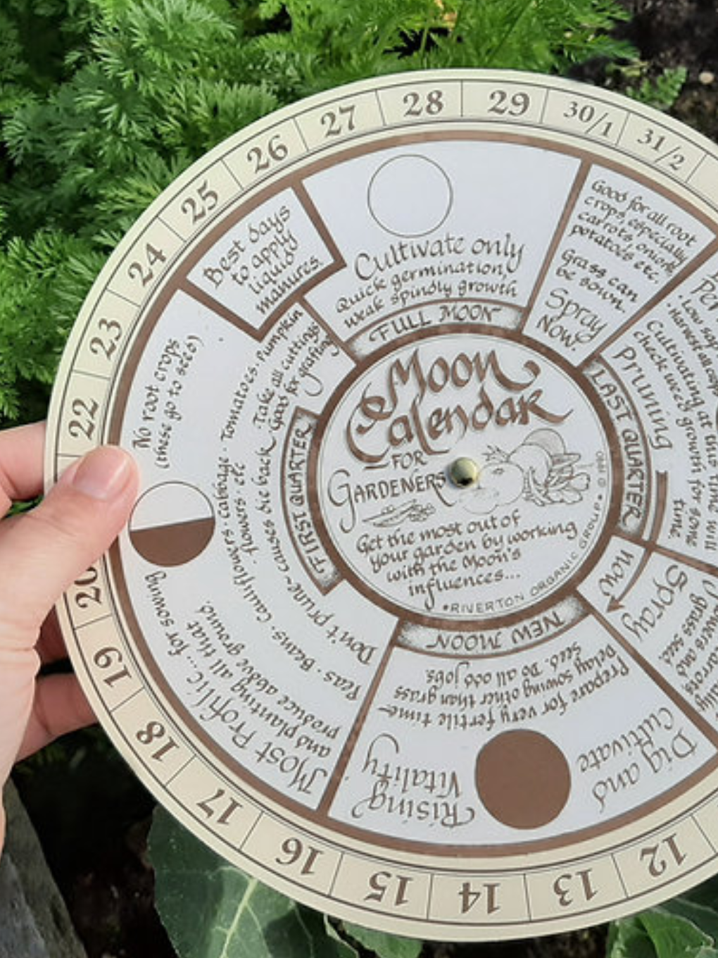 Moon Planting Calendar