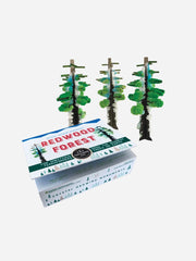 Crystal Growing Redwood Forest | Craft Kit Science Kit
