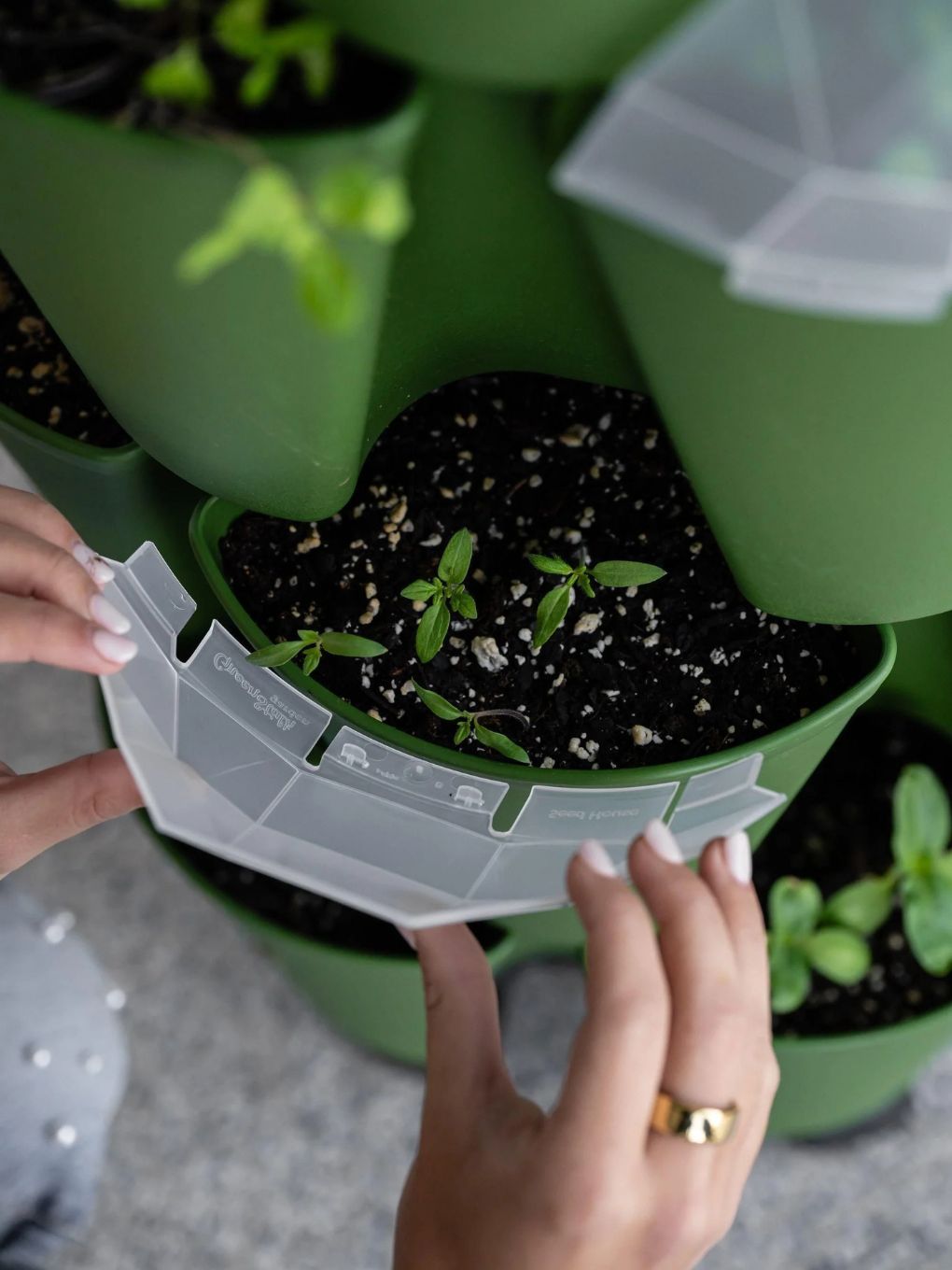 Seed House - Set of 6