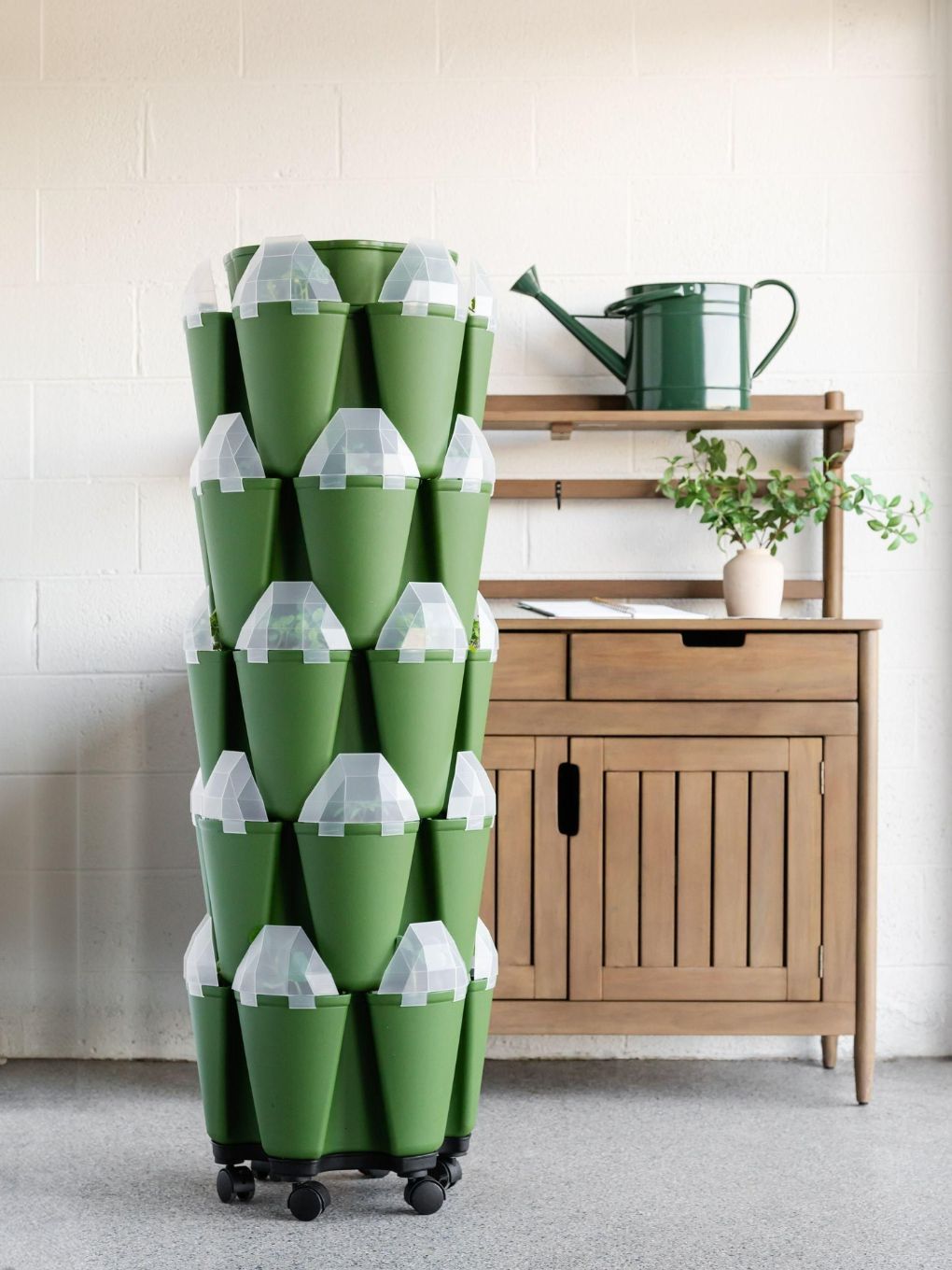 Seed House - Set of 6